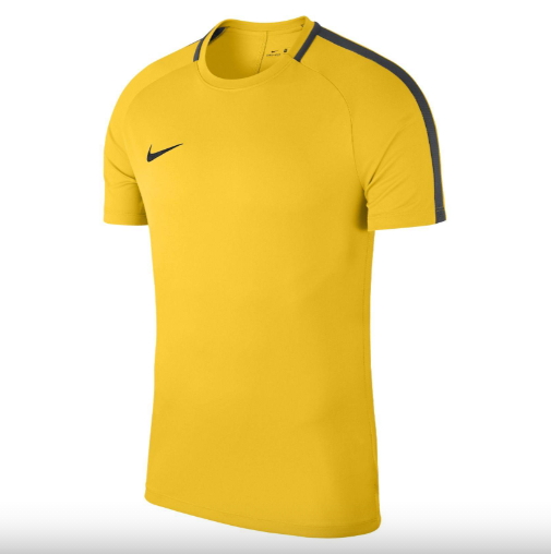 фото Футболка мужская nike m nk dry acdmy18 top ss желтая m us