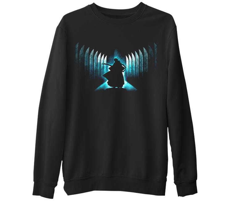 

Свитшот мужской Lord Tshirt SK-746 черный S (доставка из-за рубежа), SK-746