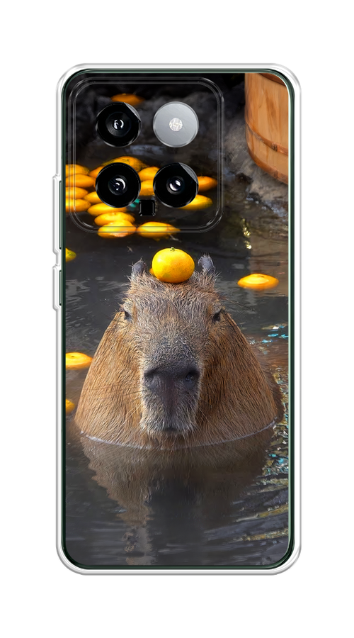 

Чехол на Xiaomi 14 "Капибара отдыхает", Коричневый;оранжевый;серый, 320350-1