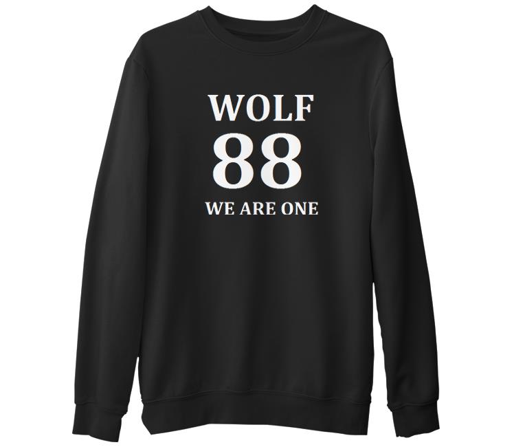 

Свитшот мужской Lord Tshirt SK-946 черный S (доставка из-за рубежа), SK-946