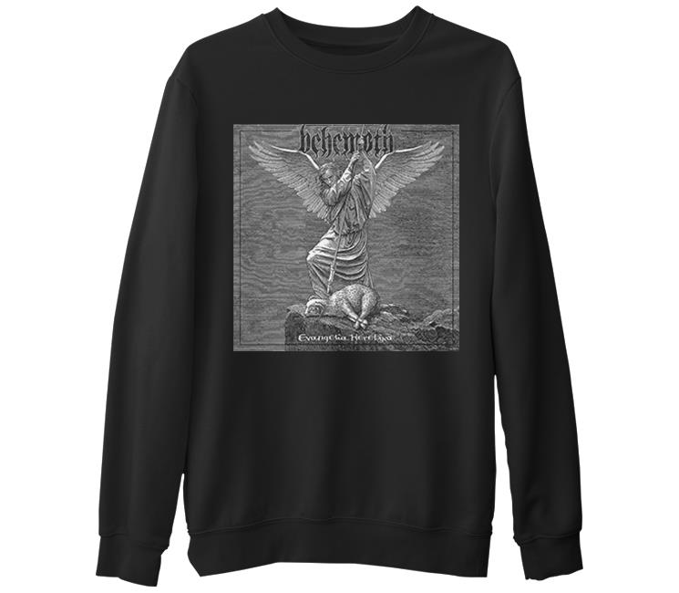 

Свитшот мужской Lord Tshirt SK-981 черный S (доставка из-за рубежа), SK-981