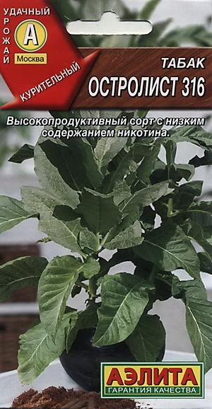

Семена табак Остролист 316 24974 1 уп.