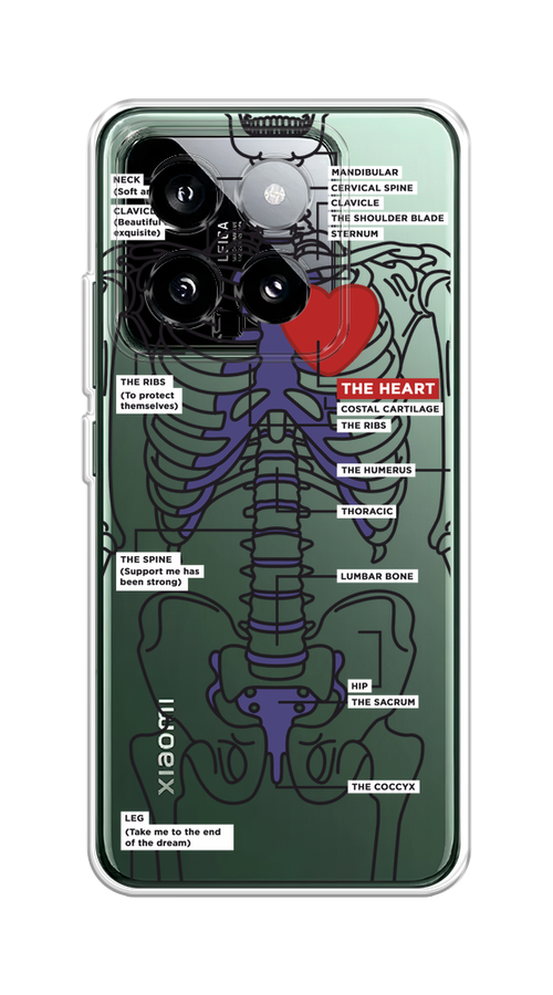 

Чехол на Xiaomi 14 "Скелет человека", Прозрачный;синий;красный, 320350-1