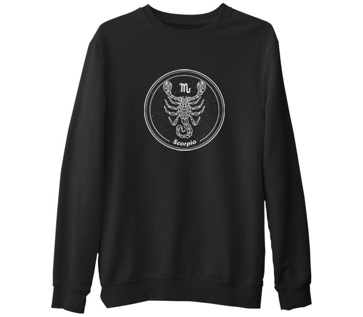 

Свитшот мужской Lord Tshirt SK-1203 черный S (доставка из-за рубежа), SK-1203
