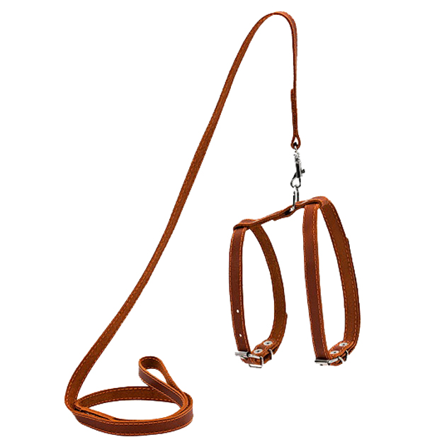 

Шлея для кошек Collar c поводком кожаная коричневая 1,2х122 см, Коричневый