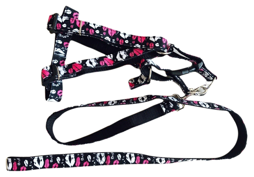

Шлейка с поводком для собак Pet Fashion Kiss 2х120 см