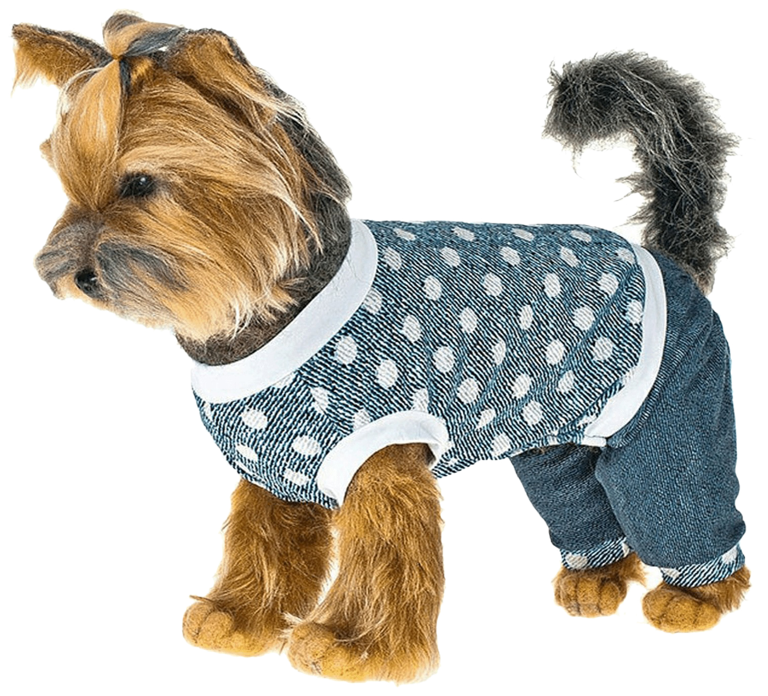 

Костюм для собак Happy Puppy Лето 2 р. M