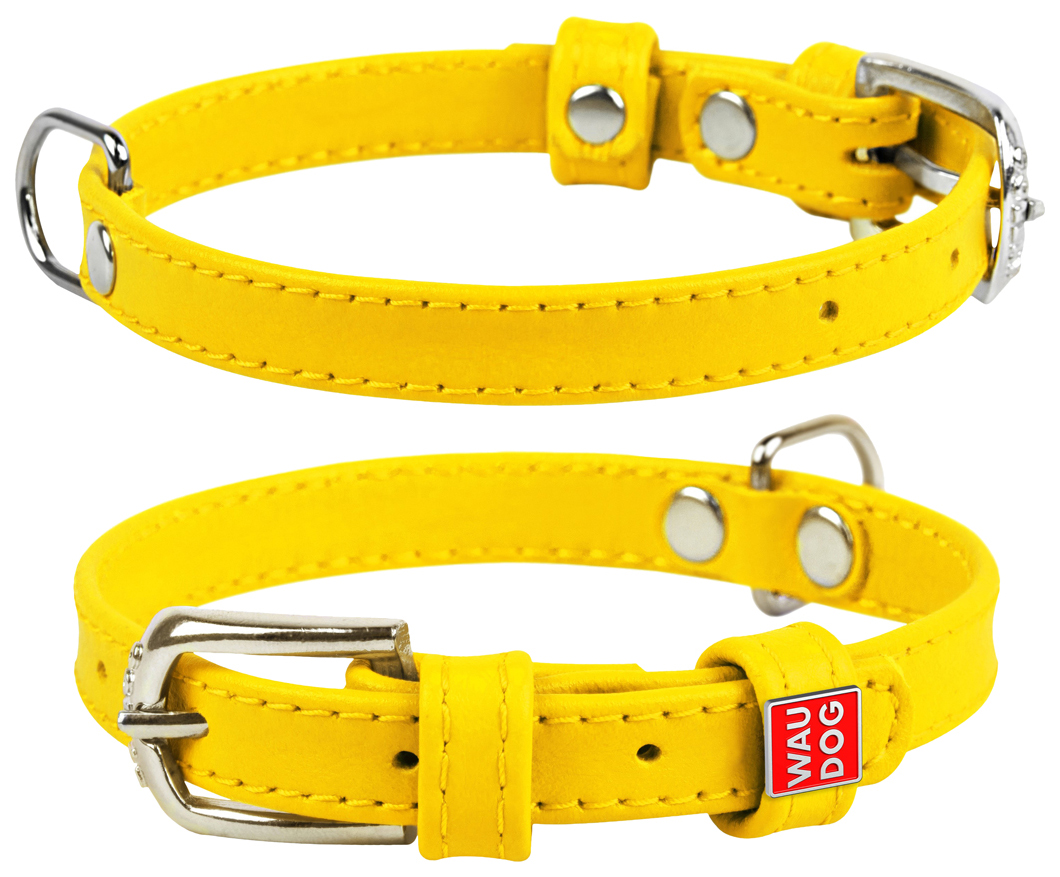 фото Ошейник для собак collar waudog glamour желтый 21-29 см
