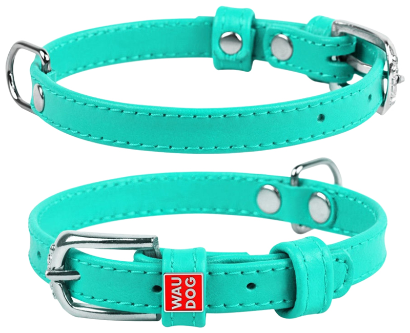 

Ошейник для собак Collar Waudog Glamour мятный 27-36 см, Waudog Glamour