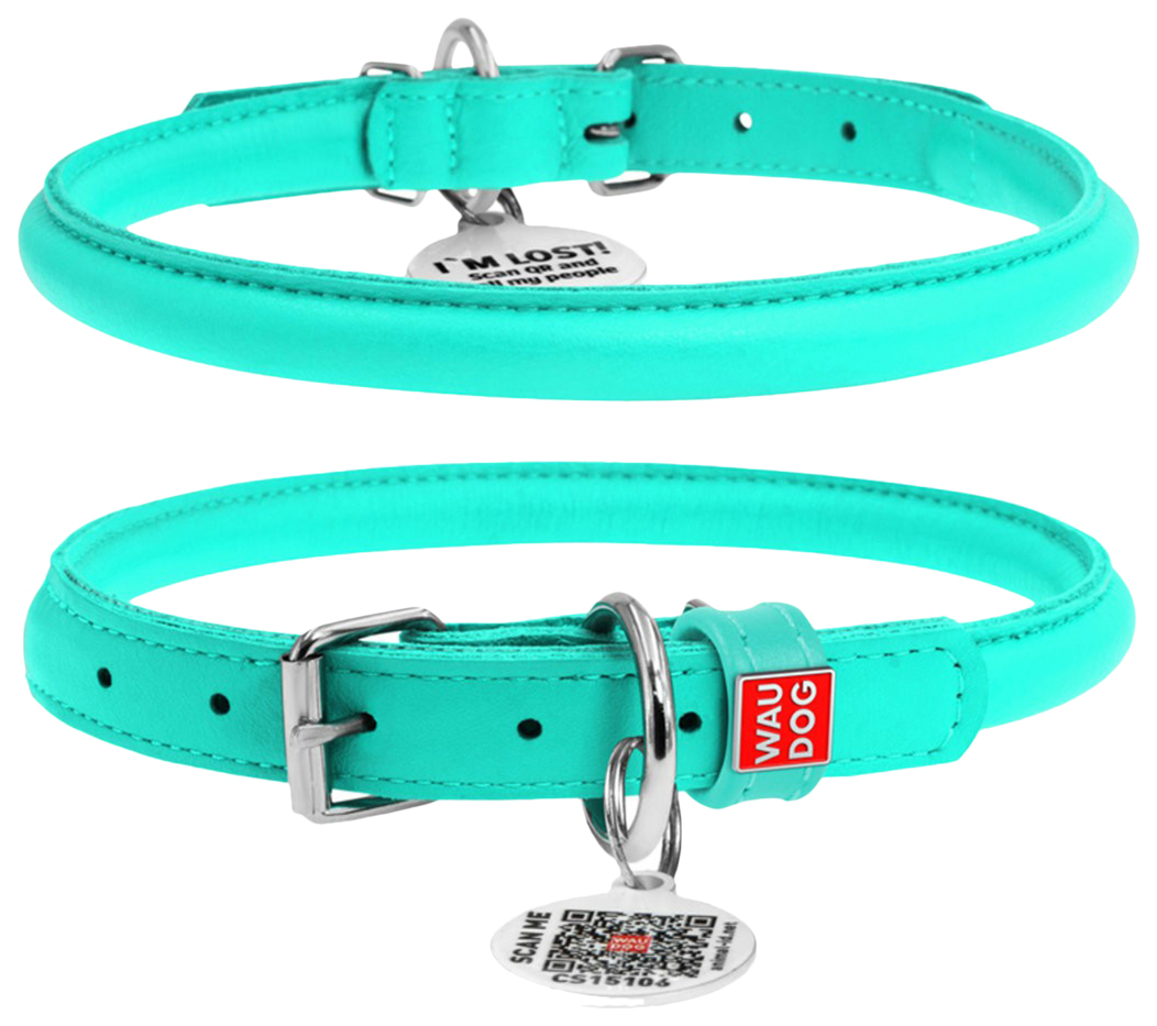 

Ошейник для собак Collar Waudog Glamour кожаный мятный 25-33 см, Waudog Glamour