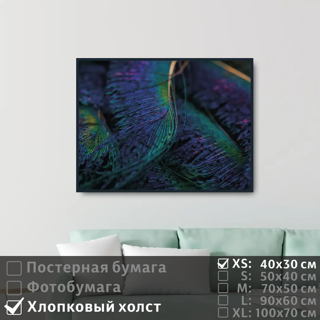 

Постер на холсте ПолиЦентр Крылья павлина 40х30 см, КрыльяПавлина