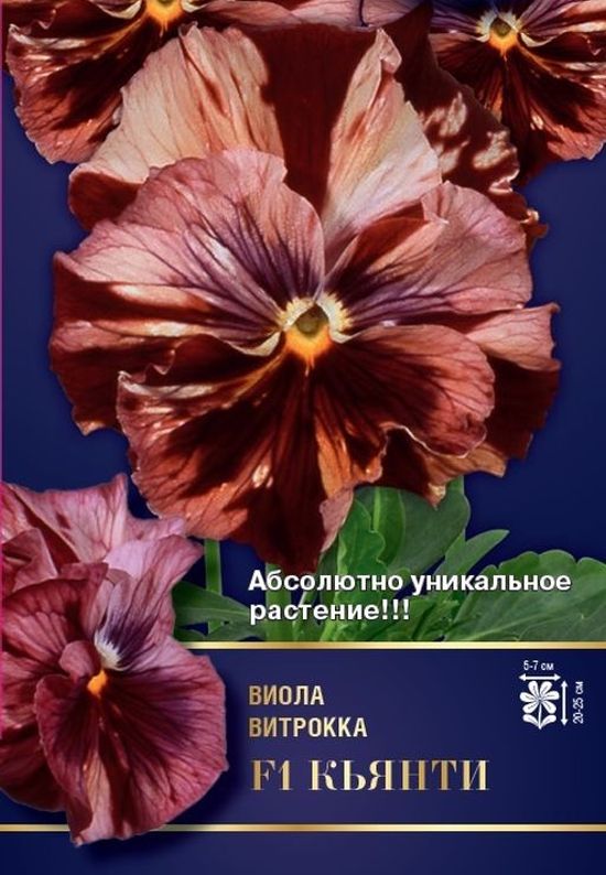 

Семена виола СеДеК Кьянти F1 24788 1 уп.