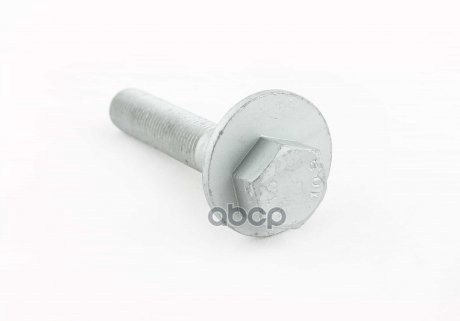 

Эксцентриковый болт VAG wht002672