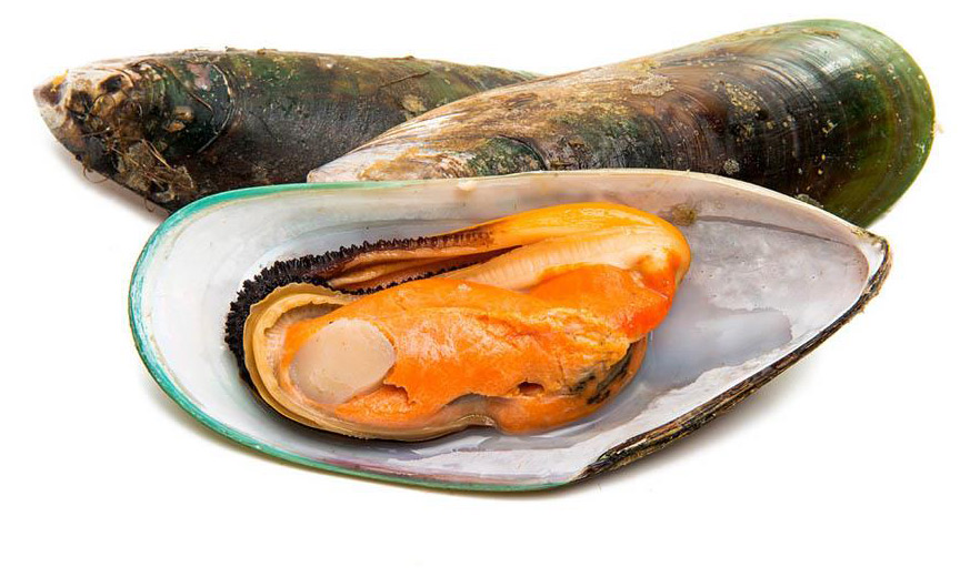 

Мидии United Fish Co, замороженные, без заправки, BIO, 1000 гр