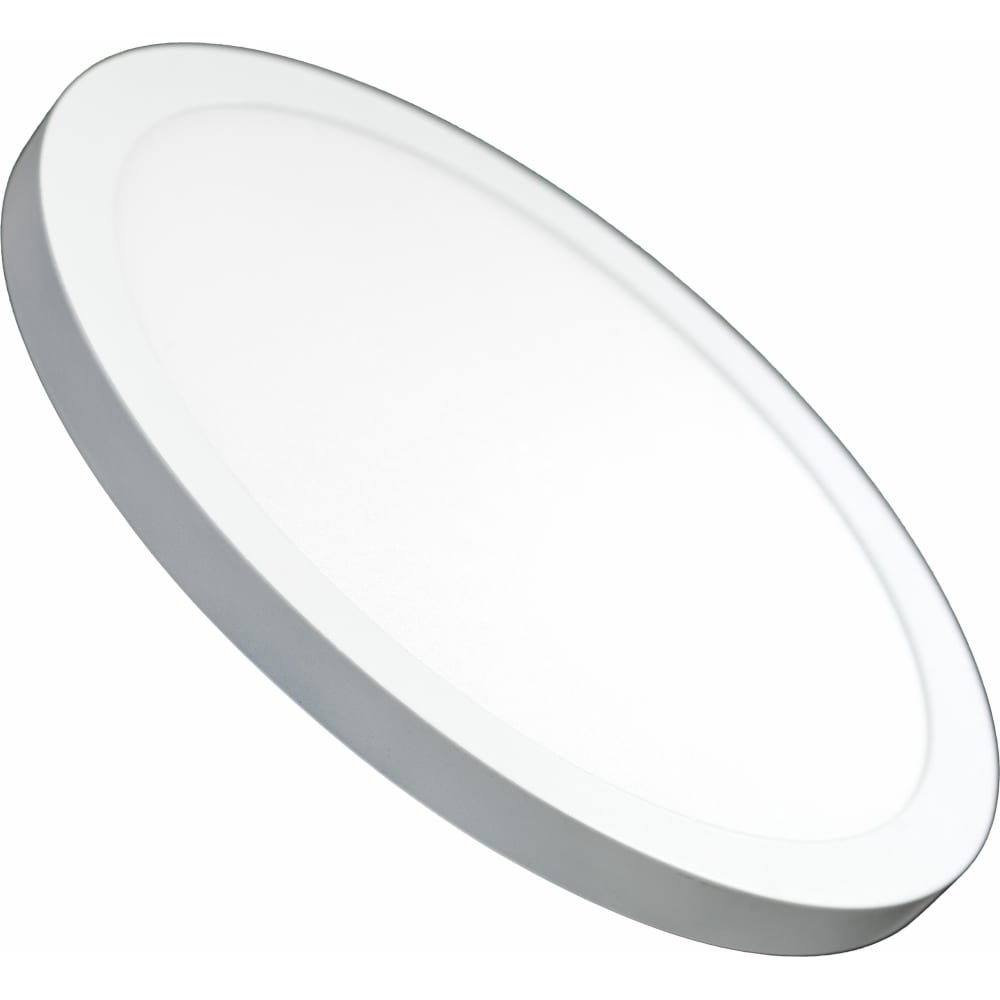 truEnergy Светильник светодиодный универсальный с регулируемым креплением круг 12W 4000K 1