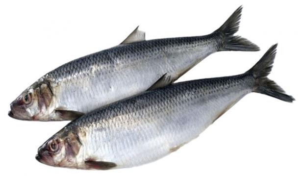 

Сельдь Ultra Fish замороженная непотрошеная +-1 кг