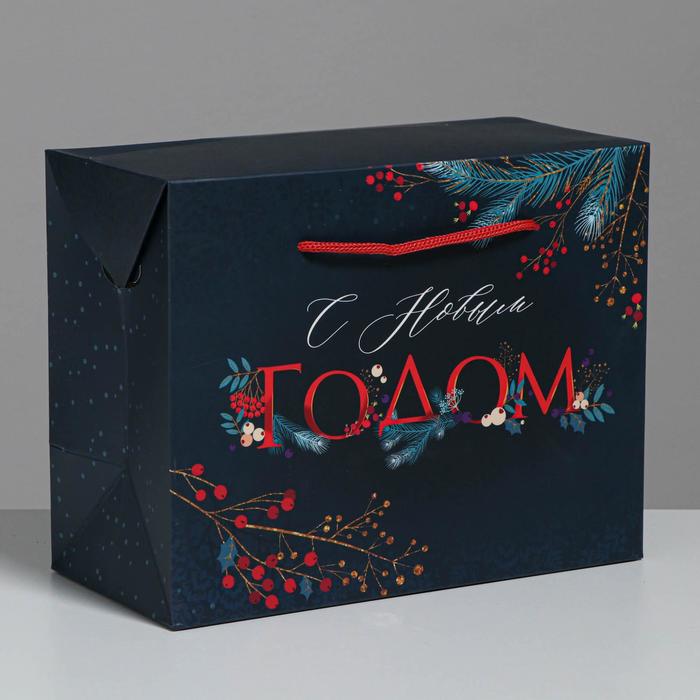 

Пакет-коробка «Новогодние сумерки», 23 х 18 х 11 см, Красный;синий;черный
