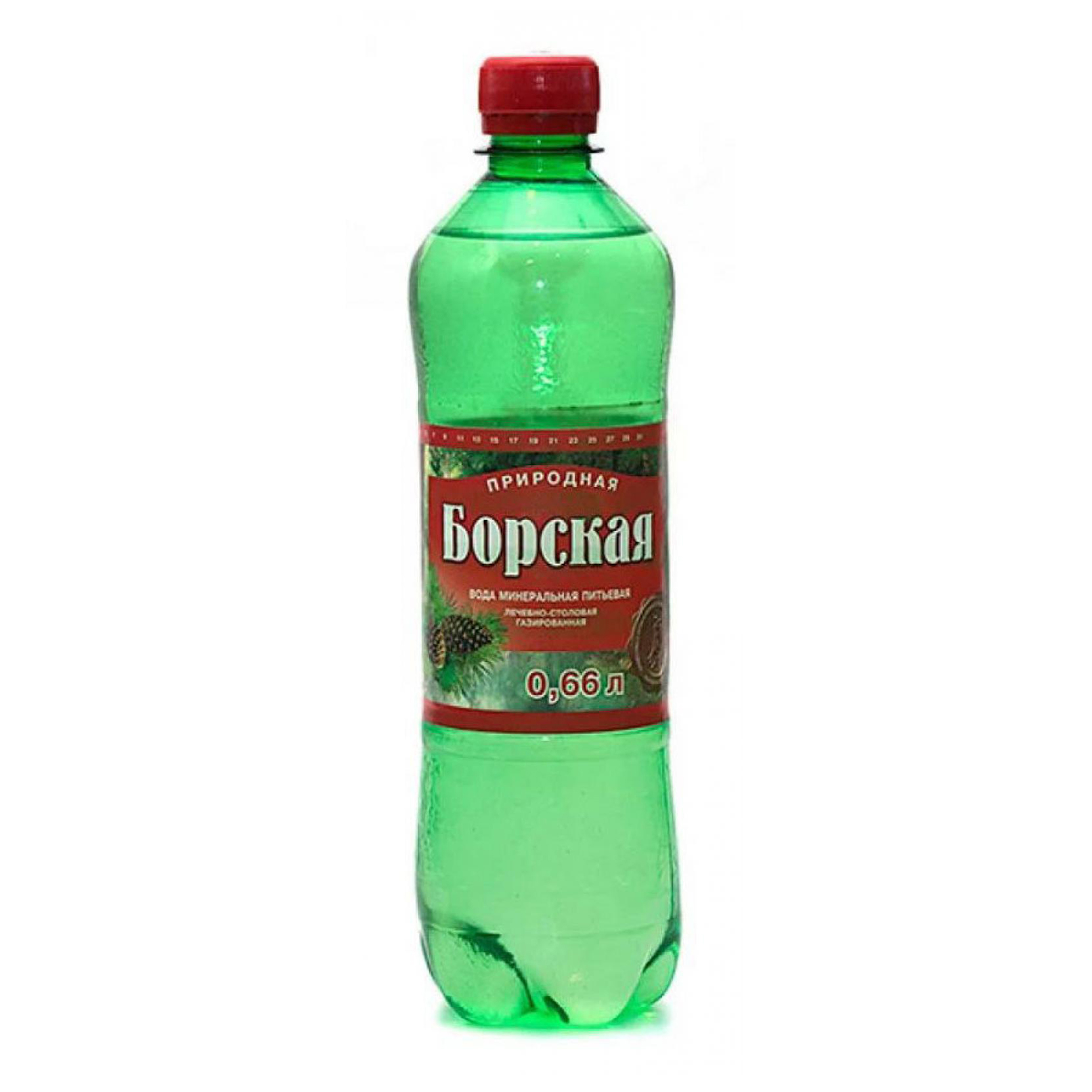 

Вода минеральная Борская газированная столовая 0,66 л