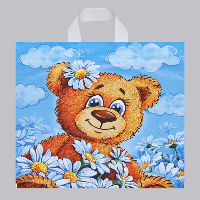 

Пакет "Тоша", полиэтиленовый с петлевой ручкой, 40 х 42 см, 45 мкм