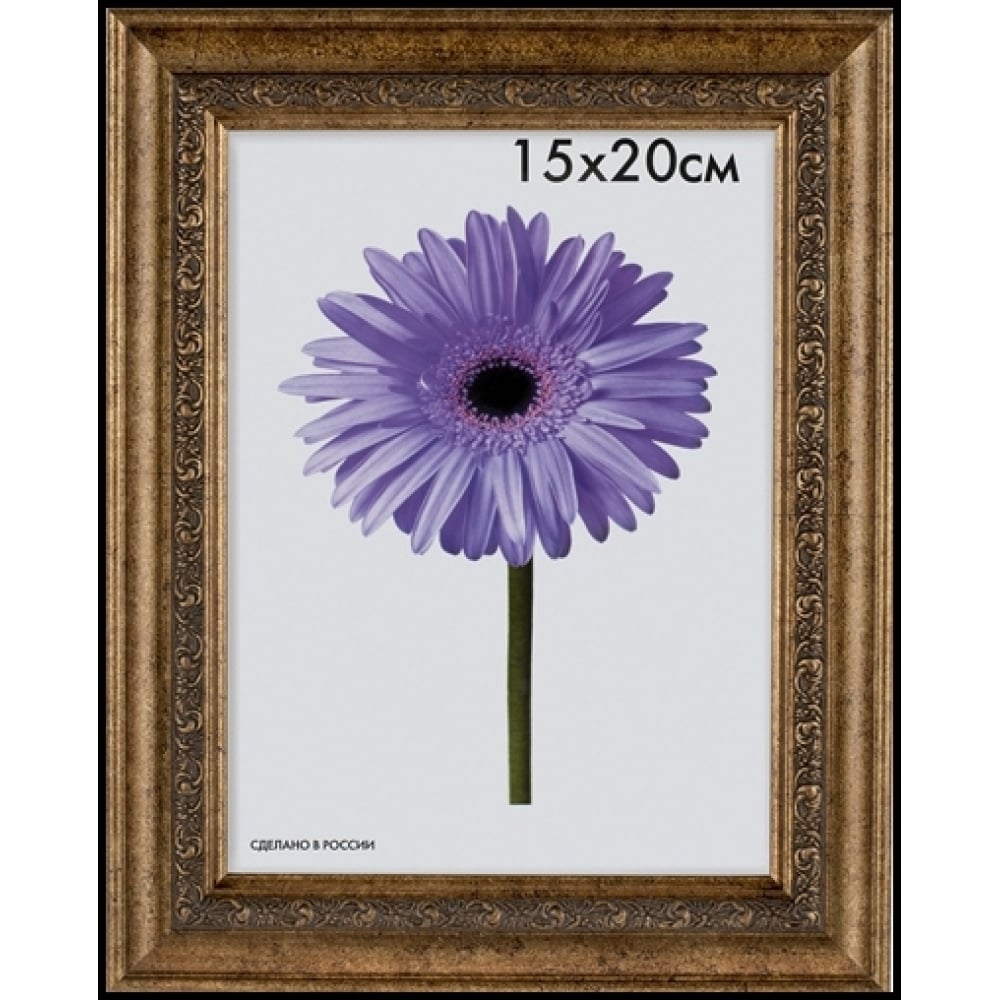 

ООО Изометрика Рамка пласт. Daria 40*50см старое золото 0058-16-1139, Белый