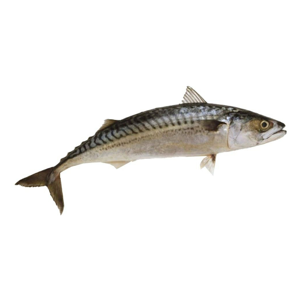 

Скумбрия Ultra Fish замороженная +-1 кг