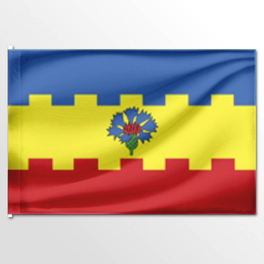 

Флаг ЦТП ФЕНИКС Чертанова Южного 135x90 см, 2996-135x90