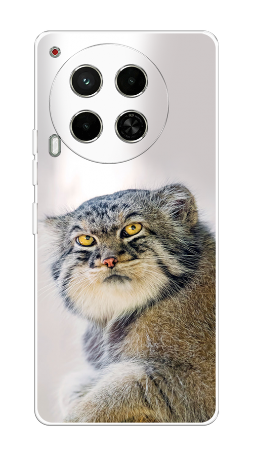 

Чехол на Tecno Camon 30 5G "Кот манул 1", Серый;белый;желтый, 305550-1