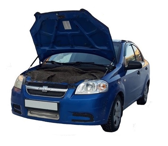 фото Амортизатор (упор) капота / газлифт для chevrolet aveo t-250 sd 2006-13 autoinnovation