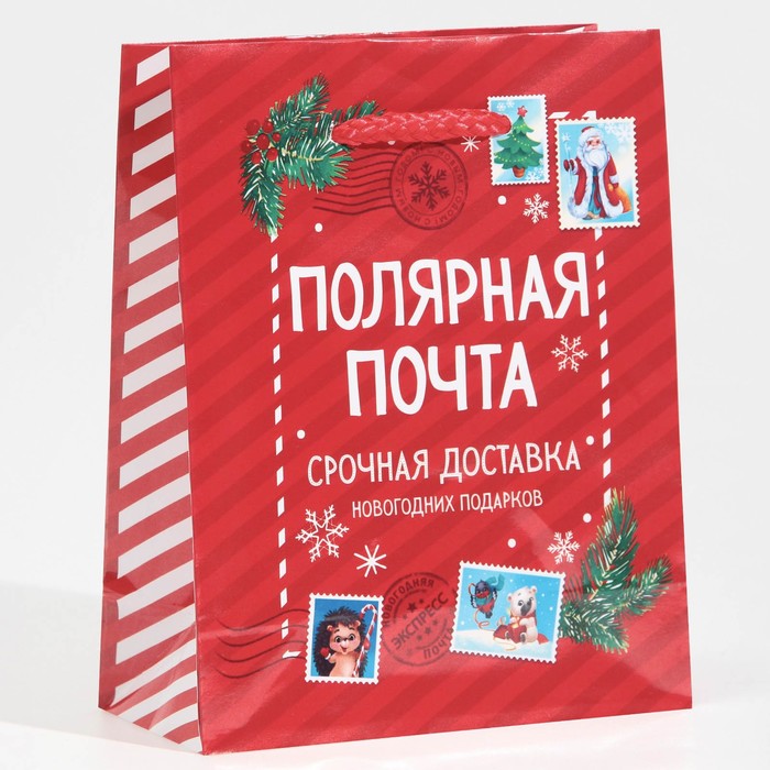 

Пакет ламинированный вертикальный «Полярная почта», S 11,5 х 14,5 х 5,5 см, Красный