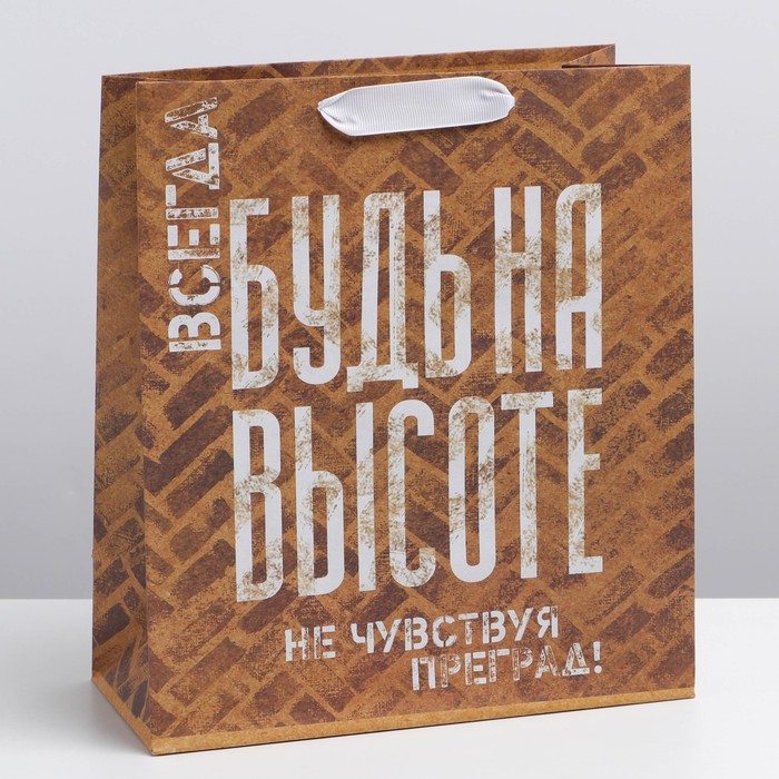 

Пакет крафтовый вертикальный «Не чувствуй преград!», ML 23  27  11,5 см, Коричневый, Коллекция упаковки "Мужская"