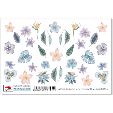 

Слайдер-дизайн N-DESIGN WC-67 Flowers Of Bali