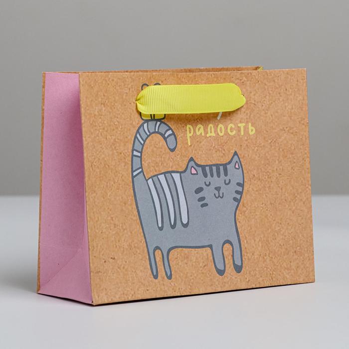 

Пакет крафтовый горизонтальный Несу радость, S 15 х 12 х 5,5 см, Бежевый