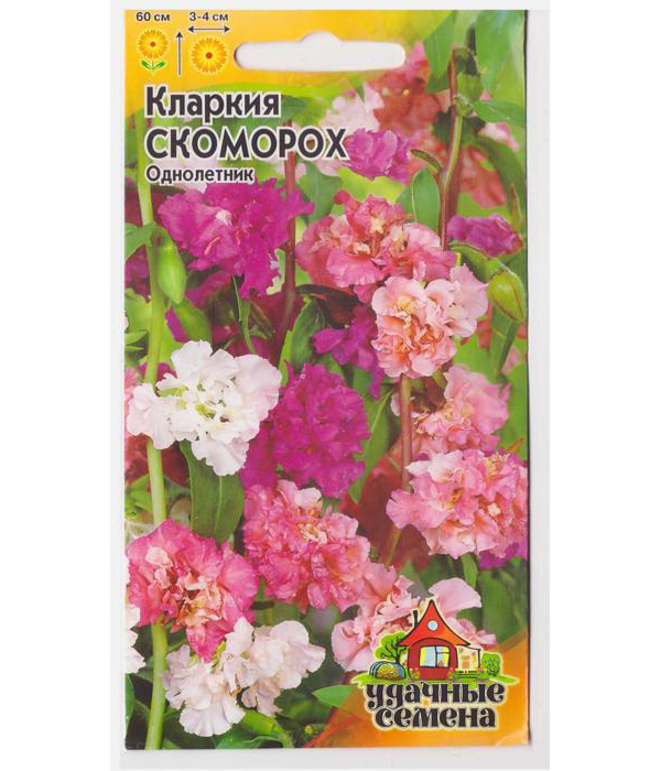 

Семена кларкия Гавриш Скоморох 16493 1 уп., Скоморох