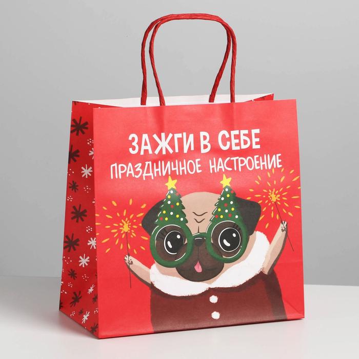 

Пакет подарочный Зажги в себе, 22 х 22 х 11 см, Красный