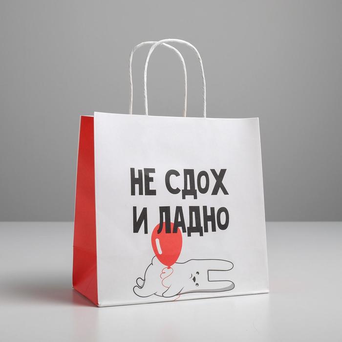 

Пакет подарочный И ладно, 22 х 22 х 11 см, Белый