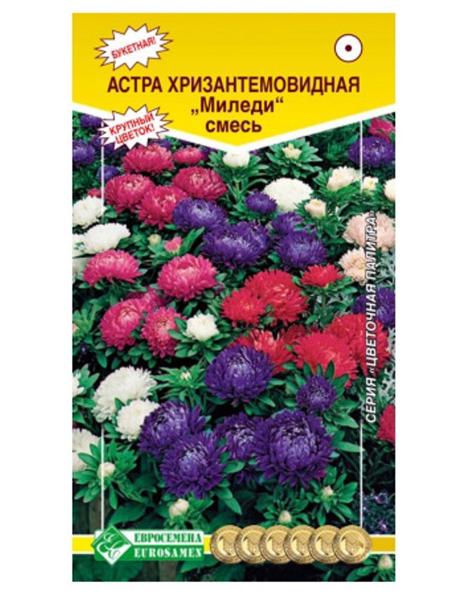 

Астра хризантемовидная Миледи, смесь, Миледи