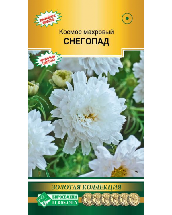 

Космос махровый Снегопад, Снегопад