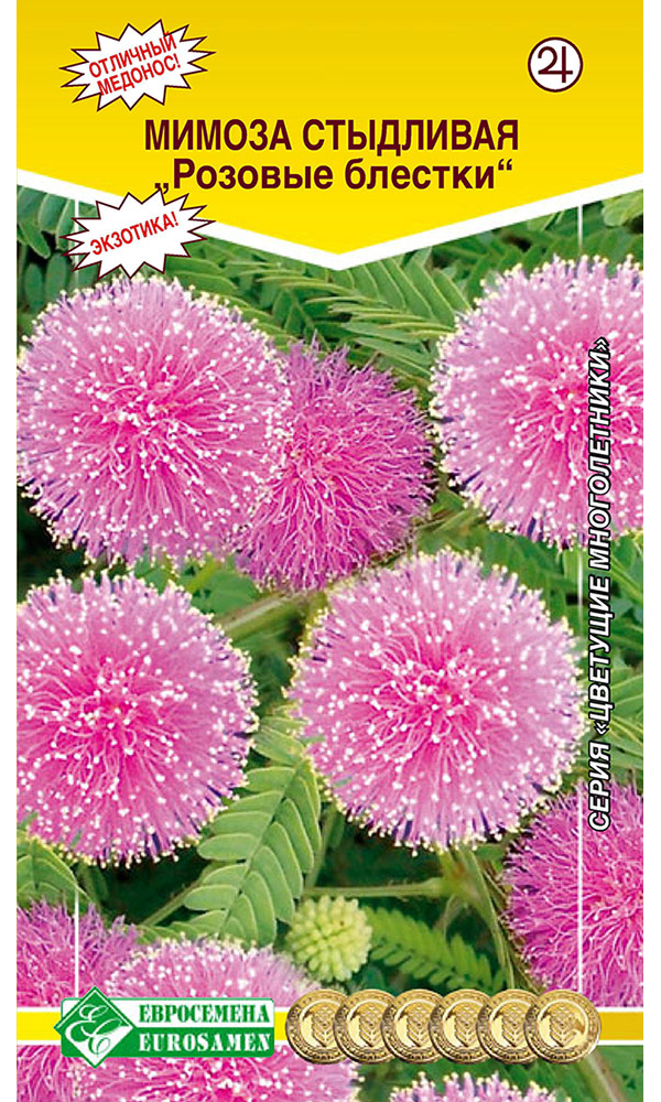 

Мимоза стыдливая Розовые Блестки, Розовые Блестки