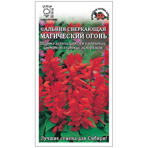 

Семена сальвия Золотая сотка Алтая Магический огонь 19647 1 уп., Магический огонь