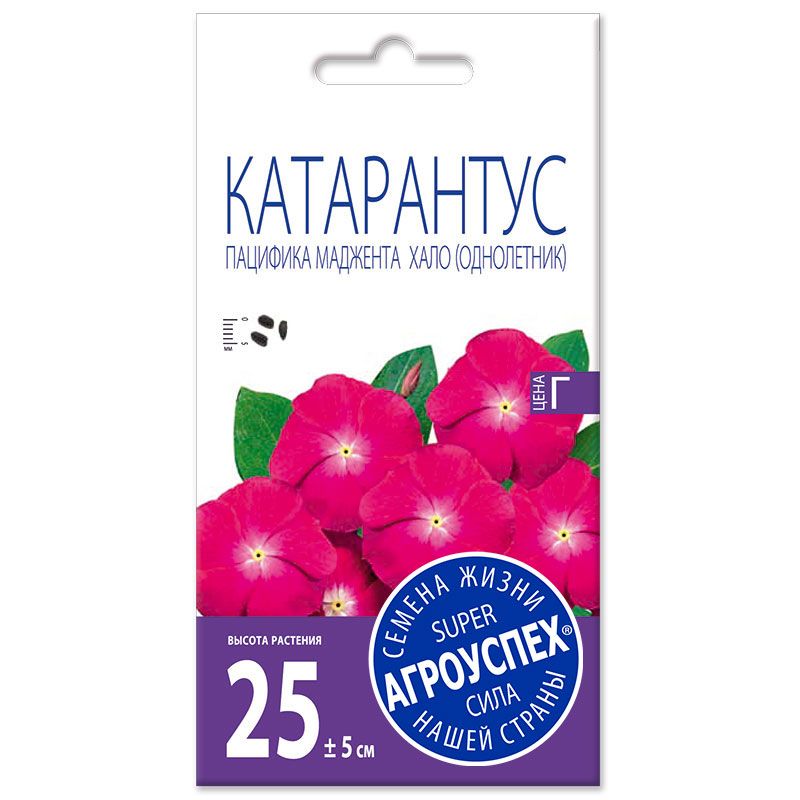 

Катарантус Пацифика Маджента Хало, Пацифика Маджента Хало