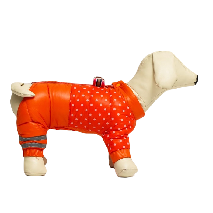 фото Комбинезон для собак "горошек", размер 10 (дс 25, ог 34, ош 24 см), красно-рыжый nobrand