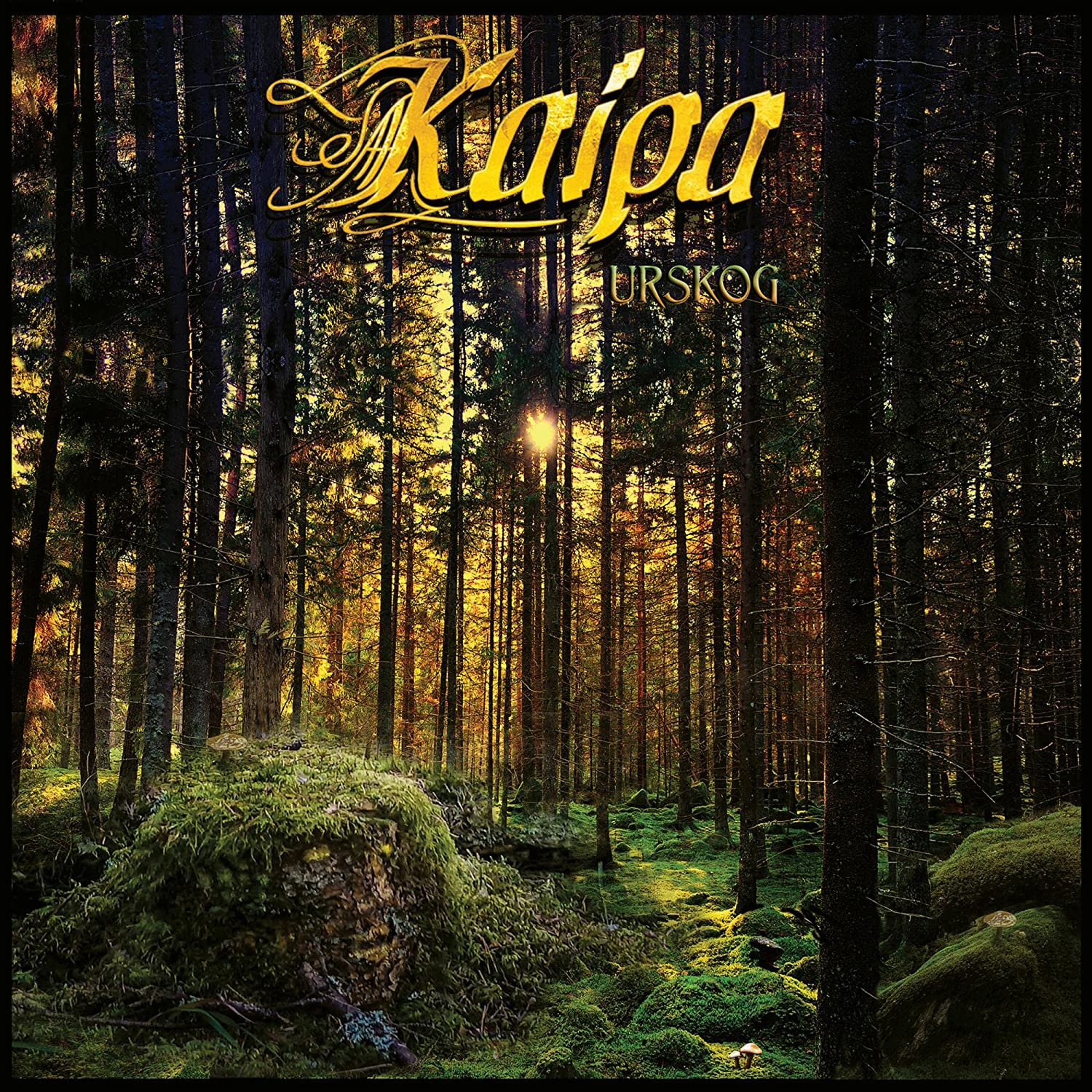 

Kaipa Urskog (Cd)