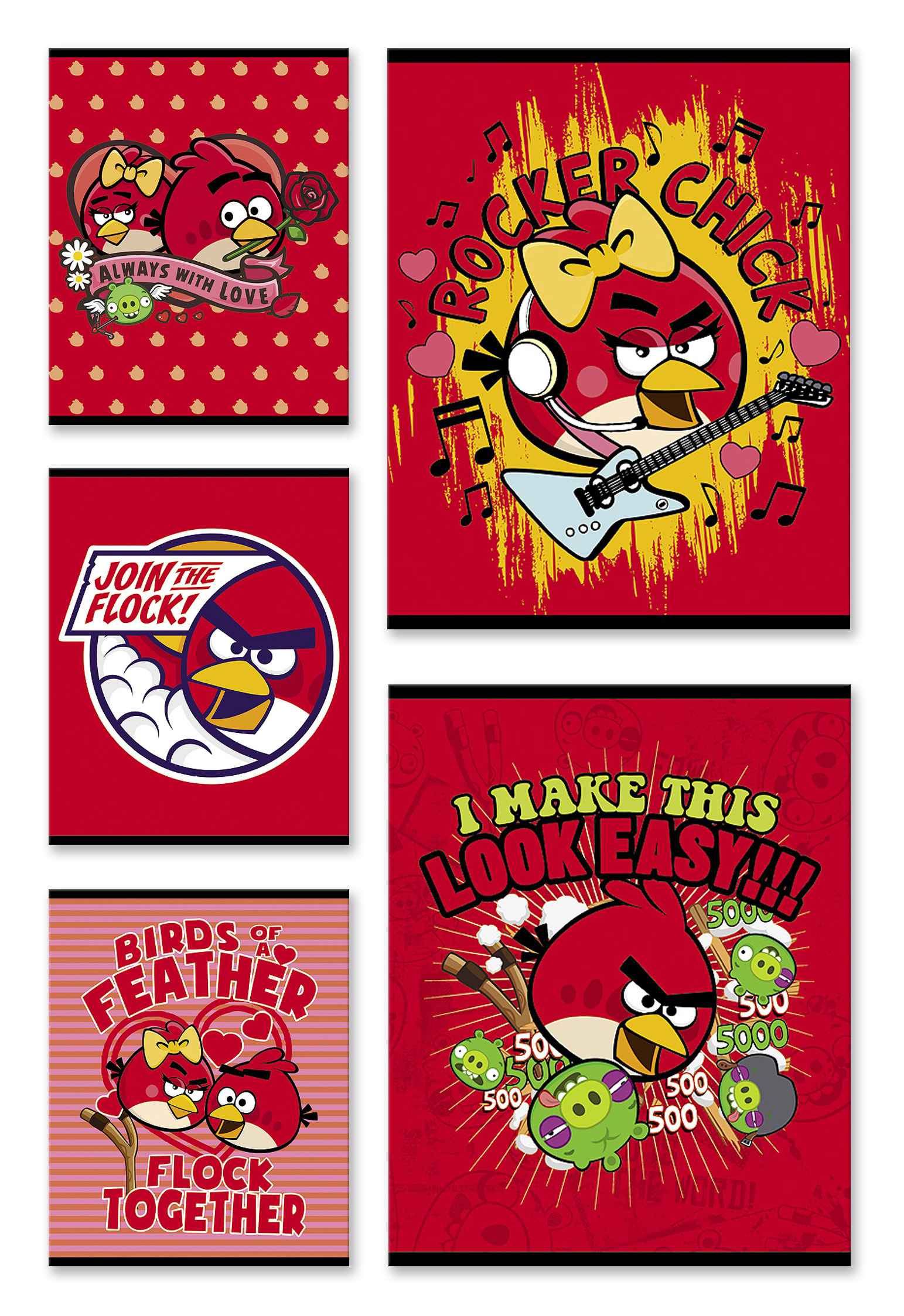 

Тетрадь общая Hatber ANGRY BIRDS флок серия Выпуск №4 48 листов А5 клетка 5 штук