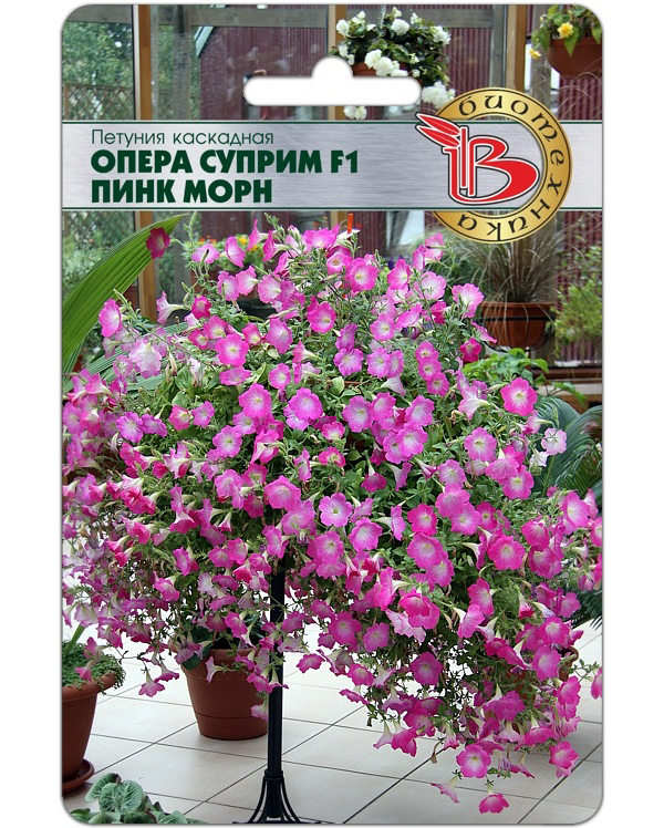 Петуния Опера Фото Отзывы