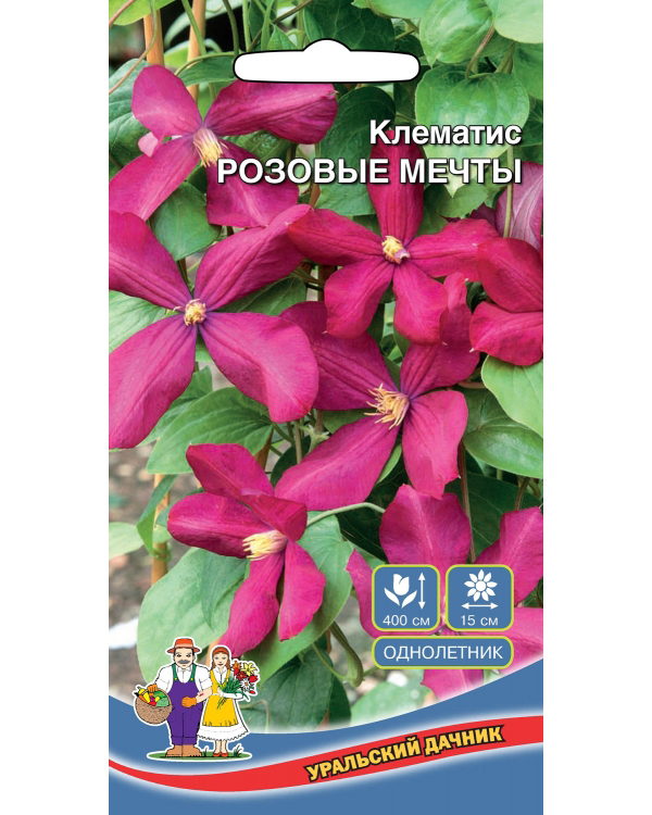 

Клематис Розовые Мечты, Розовые Мечты
