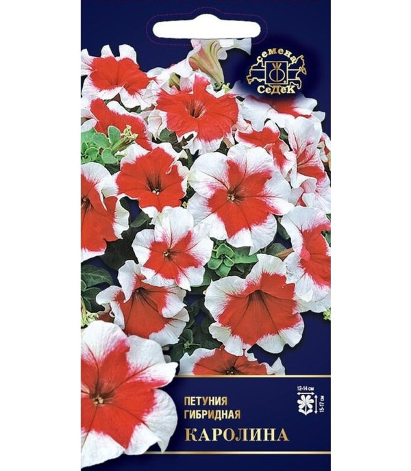 

Семена петуния СеДеК Каролина F1 13183 1 уп., Каролина F1