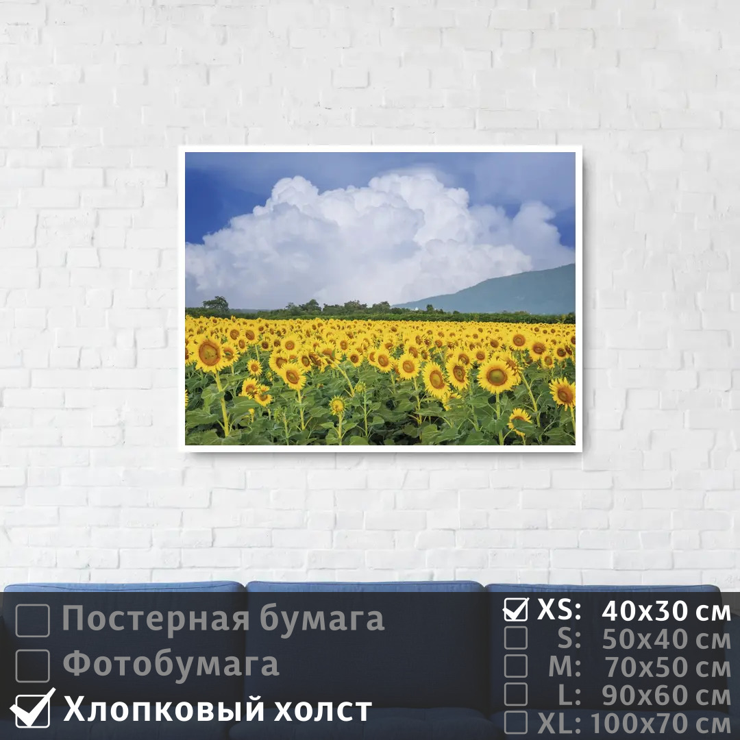 

Постер на холсте ПолиЦентр Подсолнухи под голубым небом с облаками 40х30 см, ПодсолнухиПодГолубымНебомСОблаками