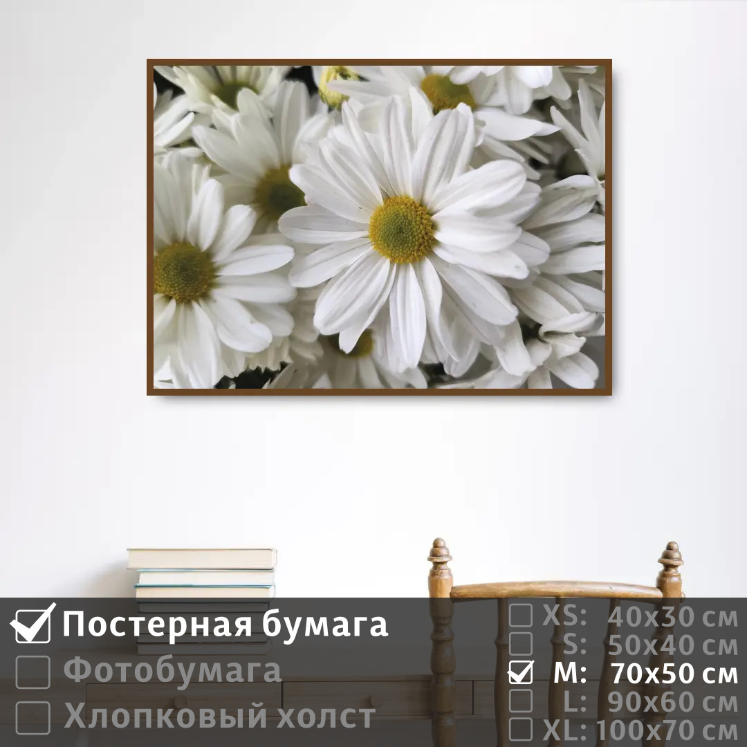

Постер на стену ПолиЦентр Белоснежные ромашки 70х50 см, БелоснежныеРомашки