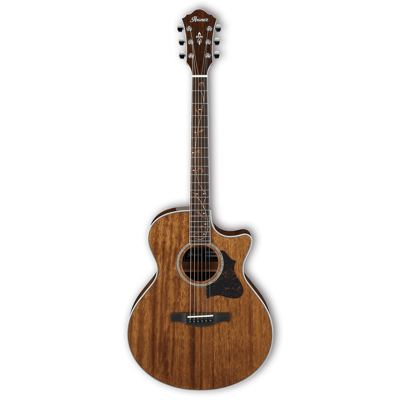 

Электроакустическая гитара IBANEZ AE245-NT, AE245-NT
