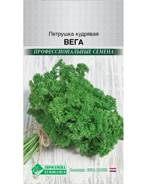 фото Петрушка кудрявая вега евросемена